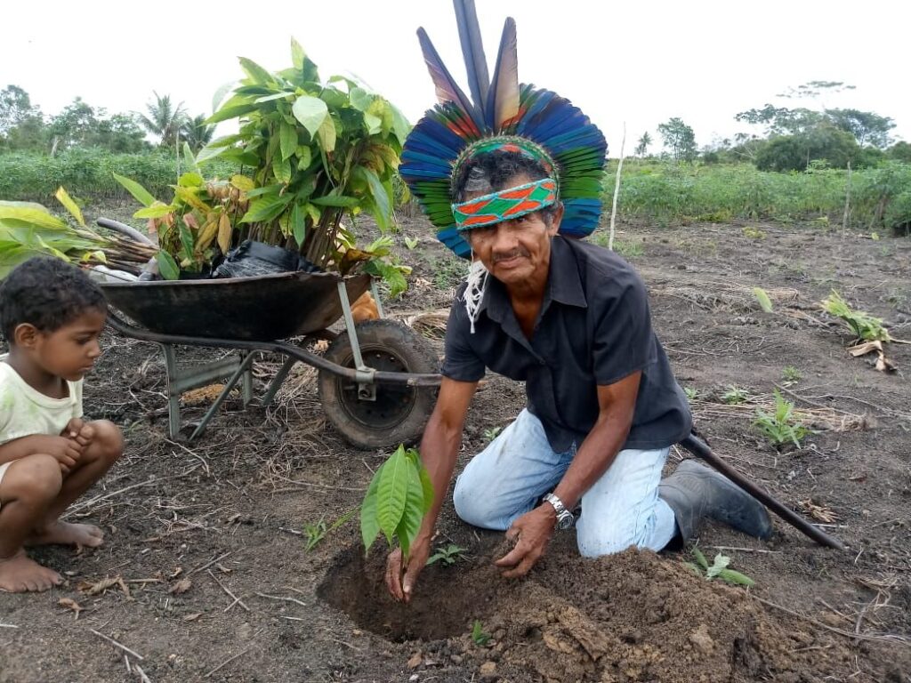 Nuevo Paa Productores Ind Genas Y Comunidades Tradicionales Tendr N