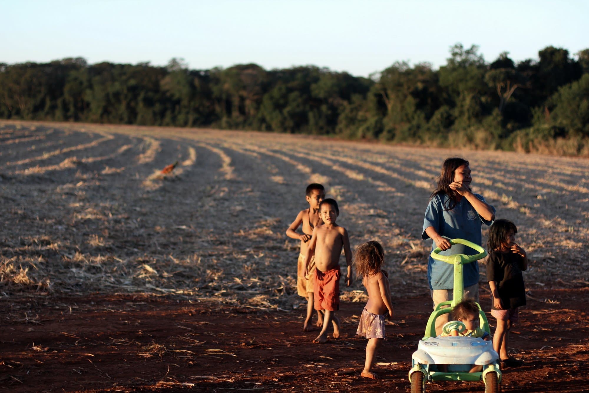"Esquece do seu filho": O Brasil está tirando crianças indígenas de suas mães e colocando para adoção