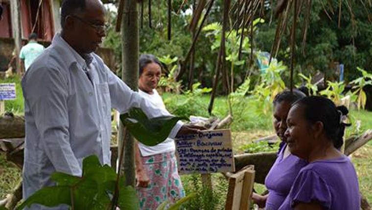 Médico cubano cria horta para índios brasileiros resgatarem o uso de plantas medicinais