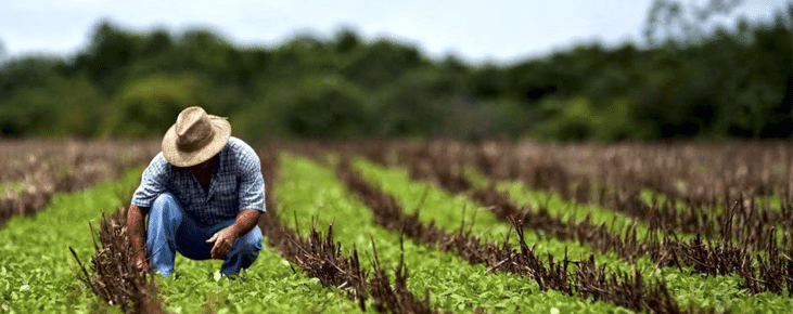 Plano ABC promove uma agricultura de baixa emissão de carbono