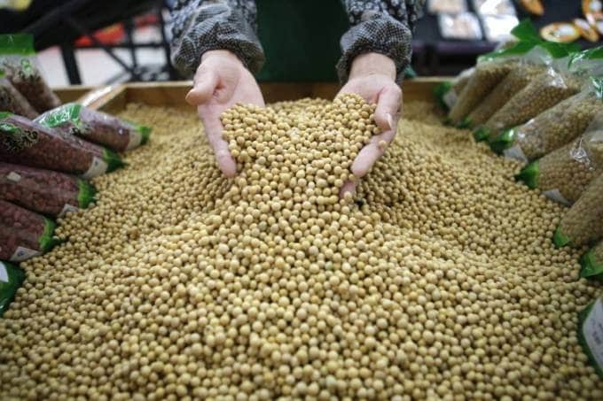 Conversas entre EUA e China inibem exportações de soja do Brasil em março