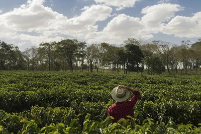 Prazo para renovação de documento de agricultores familiares volta a ser de dois anos