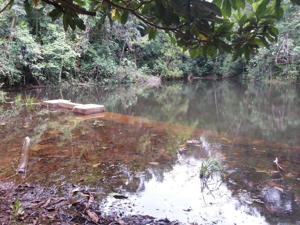 Brasil Maior, Brasil Mais Verde: CONAFER estabelece diretriz nacional para recuperação de áreas ambientais abandonadas