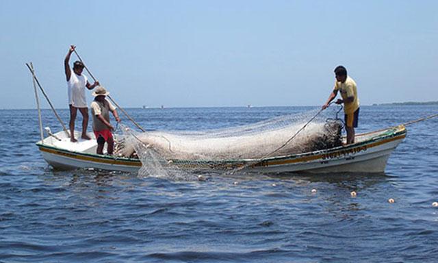 Plano safra incluirá os pescadores, afirma Ministério da Agricultura