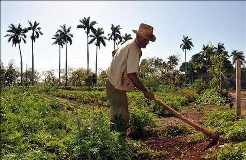 Assentados da reforma agrária ainda sem registro individual no CAR já podem acessar Pronaf