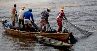 Decisões da Secretaria da Pesca não precisam ser submetidas ao Ministério do Meio Ambiente