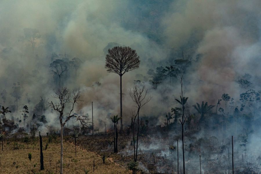 Camponeses e povos tradicionais da Amazônia adoecem com as queimadas causadas pelo latifúndio