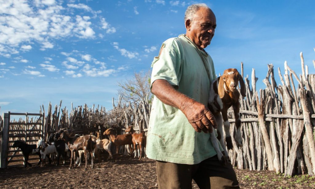 Governo nega aposentadoria a 260 mil trabalhadores rurais em 2019, recorde da década