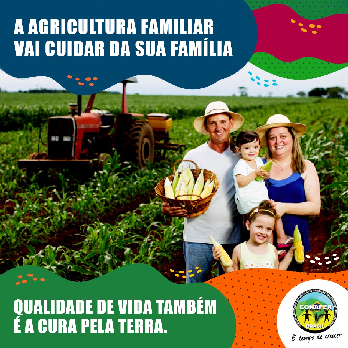 A agricultura familiar vai cuidar da sua família IV