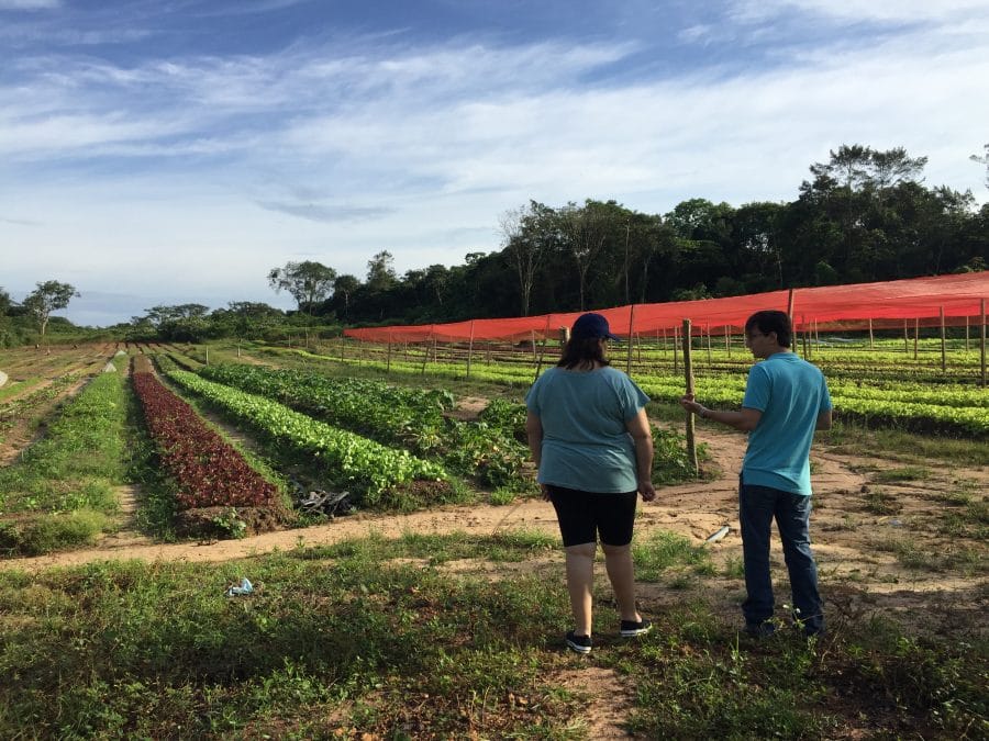 Iniciativas brasileiras para financiar sustentabilidade