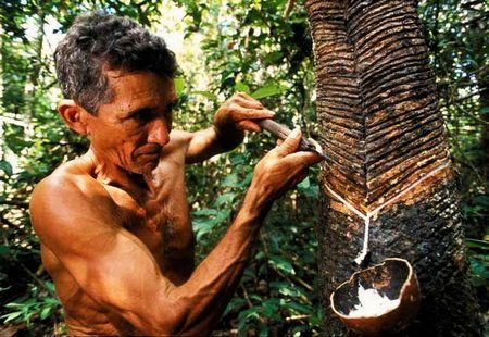 Cultura extrativista da borracha é inspiração para Amazônia sustentável