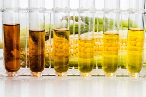 Portaria amplia inclusão produtiva de agricultores familiares na cadeia do biodiesel