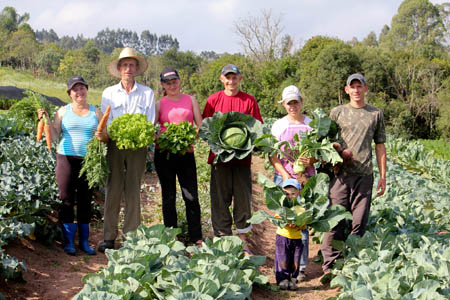 Agricultores familiares são os maiores produtores de hortaliças e frutas do Brasil