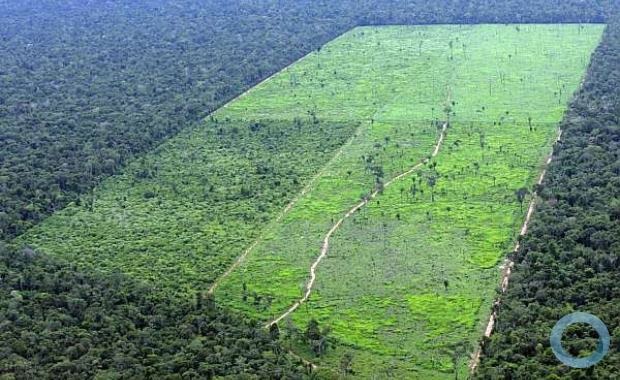 Regularização fundiária na Amazônia Legal e terras da União avança com georreferenciamento