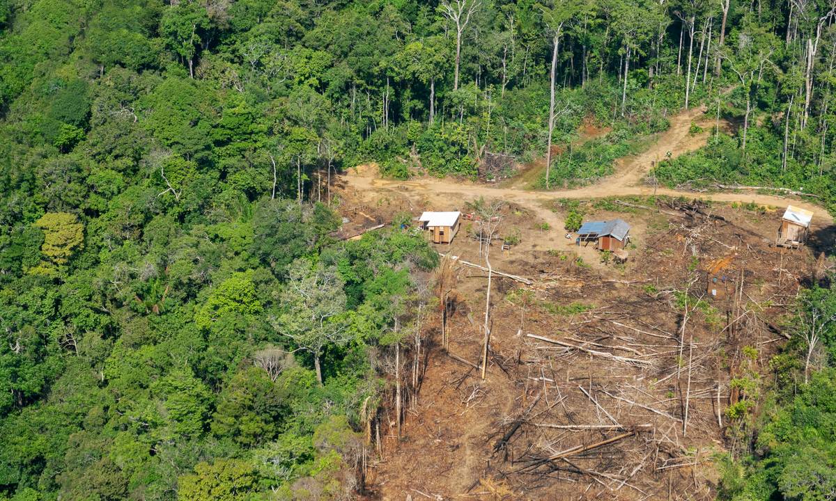 Ibama e Funai publicam instrução que normatiza exploração agrícola de terceiros em terras indígenas