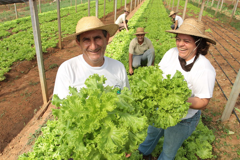 Sai A DAP, Entra O CAF, O Cadastro Nacional Da Agricultura Familiar ...