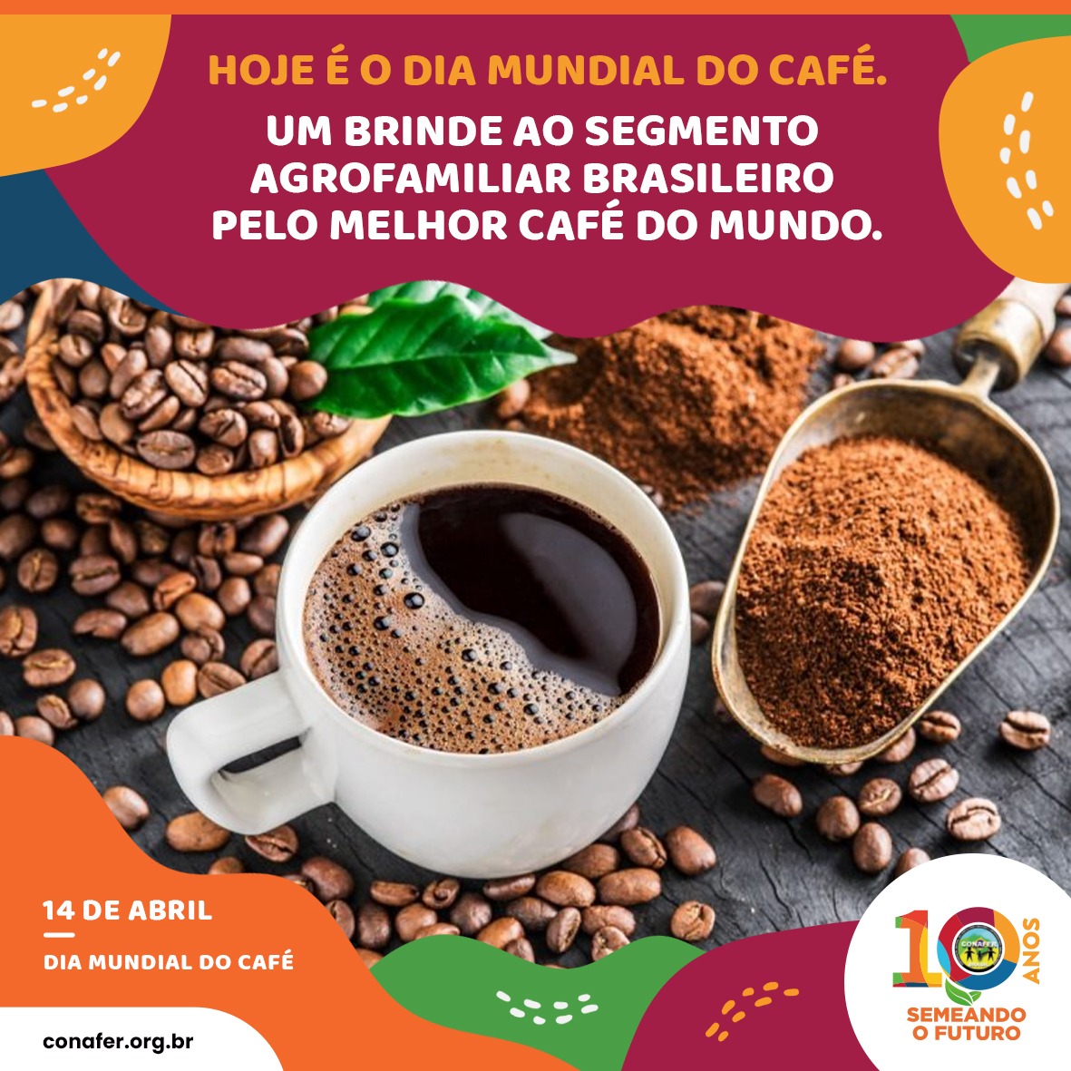 Produção cafeeira dos pequenos produtores emprega mais de 1,8 milhão de brasileiros