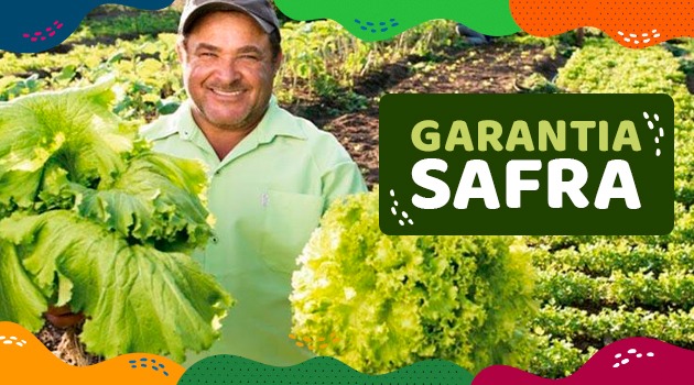 44 mil agricultores de Alagoas e Bahia vão receber parcela única de R$ 850 do Garantia-Safra