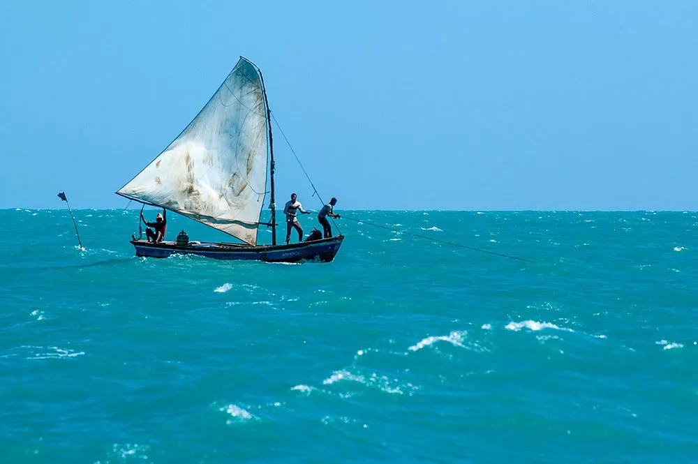 ATÉ 5 DE JUNHO: pescador artesanal sem licença tem pouco tempo para recorrer e se regularizar