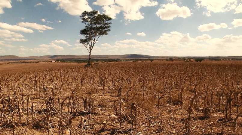 GARANTIA-SAFRA 2019/2020 – 380 mil agricultores familiares vão receber o benefício em 531 municípios