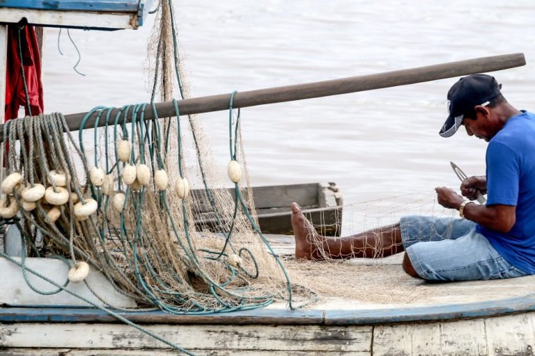 Embrapa Pesca e Aquicultura lança plataforma inédita para integrar todo o segmento