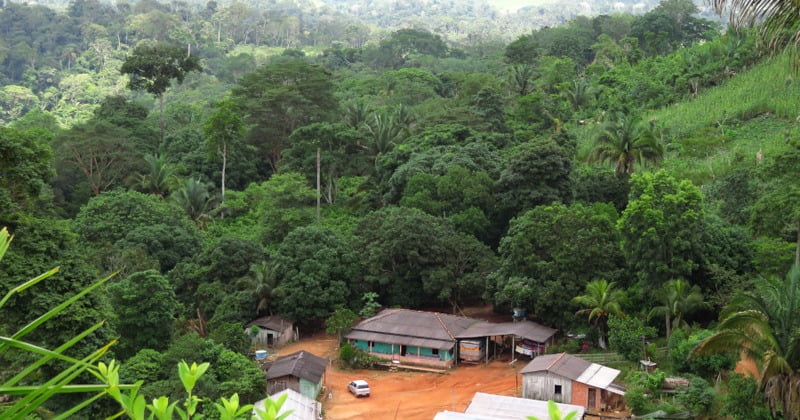 CONAFER AGROFLORESTA: acordo com o Serviço Florestal Brasileiro vai levar regularização ambiental aos agricultores familiares do país