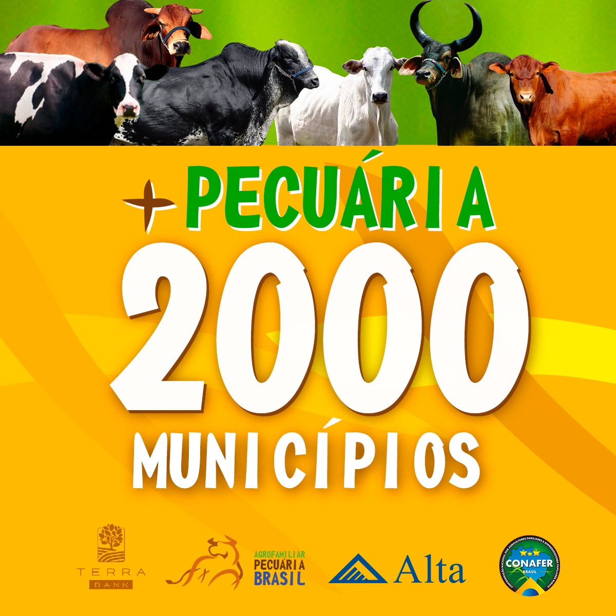 +PECUÁRIA 2000: lançamentos online de 14 de outubro selam a marca de 2 mil cidades atendidas pelo maior programa da pecuária brasileira