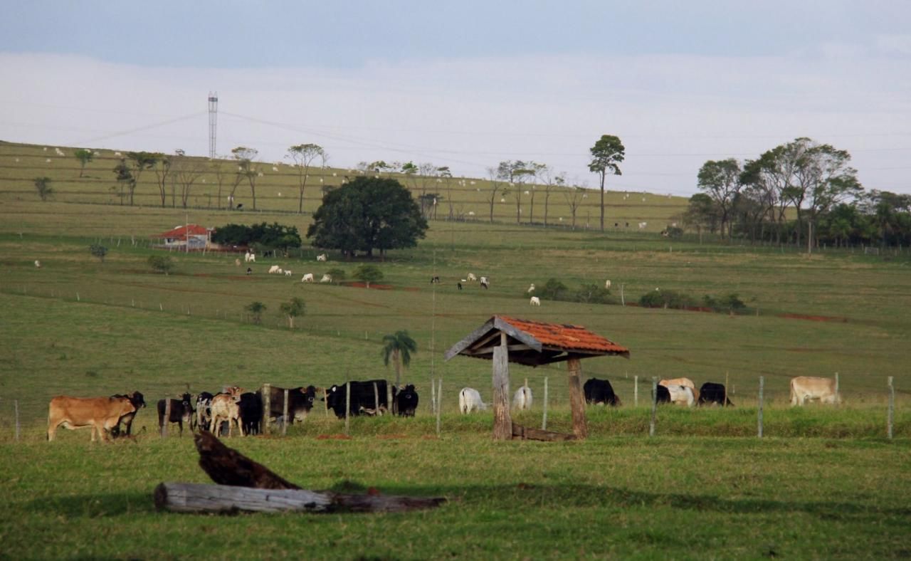 CONAFER PAULISTA: plano de trabalho agrofamiliar avança com o Instituto de Terras de São Paulo