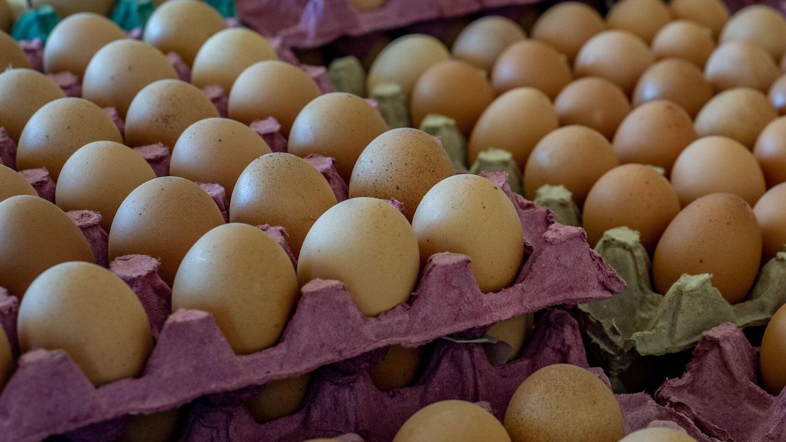 CONAFER MERCADO: preço dos ovos não vai baixar em 2023; aumento da demanda e valor do milho mantêm patamar elevado