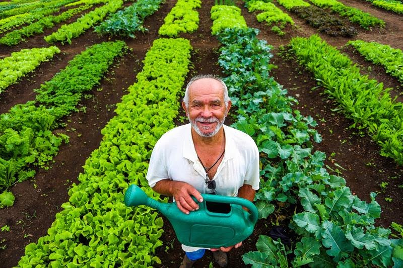 MAIS GESTÃO: novo programa do MDA busca fortalecer empreendimentos do setor agrofamiliar brasileiro