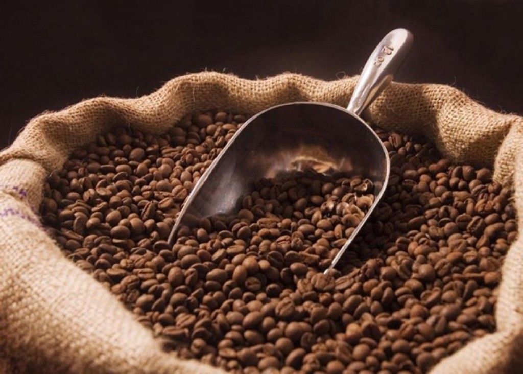 CAFÉ FORTE: safra 2023 pode chegar a 54,36 milhões de sacas; 38% é agrofamiliar