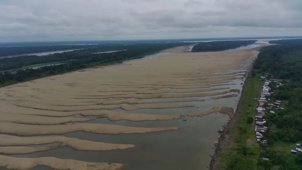 Tucuxi na lista vermelha: todos os botos de rio do mundo agora ameaçados