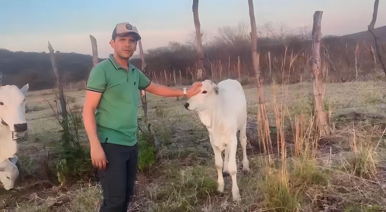 +PECUÁRIA BRASIL: revolução da bovinocultura na Paraíba é realidade em Bonito de Santa Fé