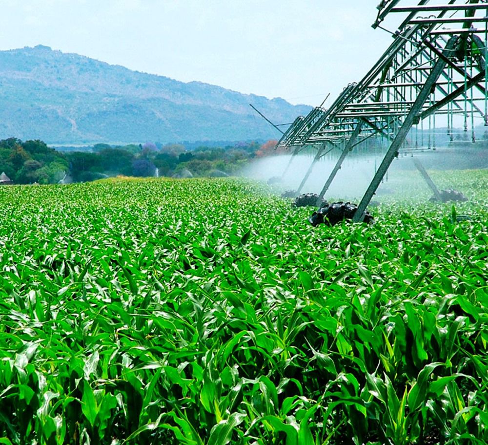 CONAFER GLOBAL: assinado acordo com empresa chinesa Rizhao Haotian para sistema de irrigação em solo brasileiro
