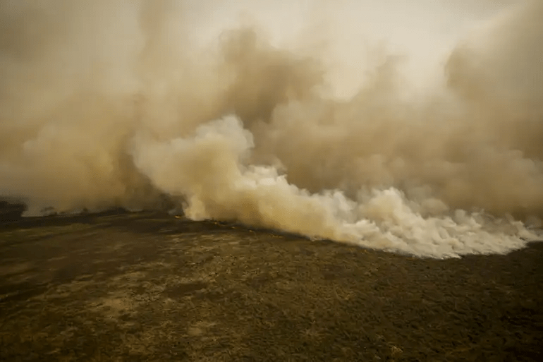 PANTANAL SUFOCANDO: com tempo seco e onda de calor, bioma registra recorde de incêndios
