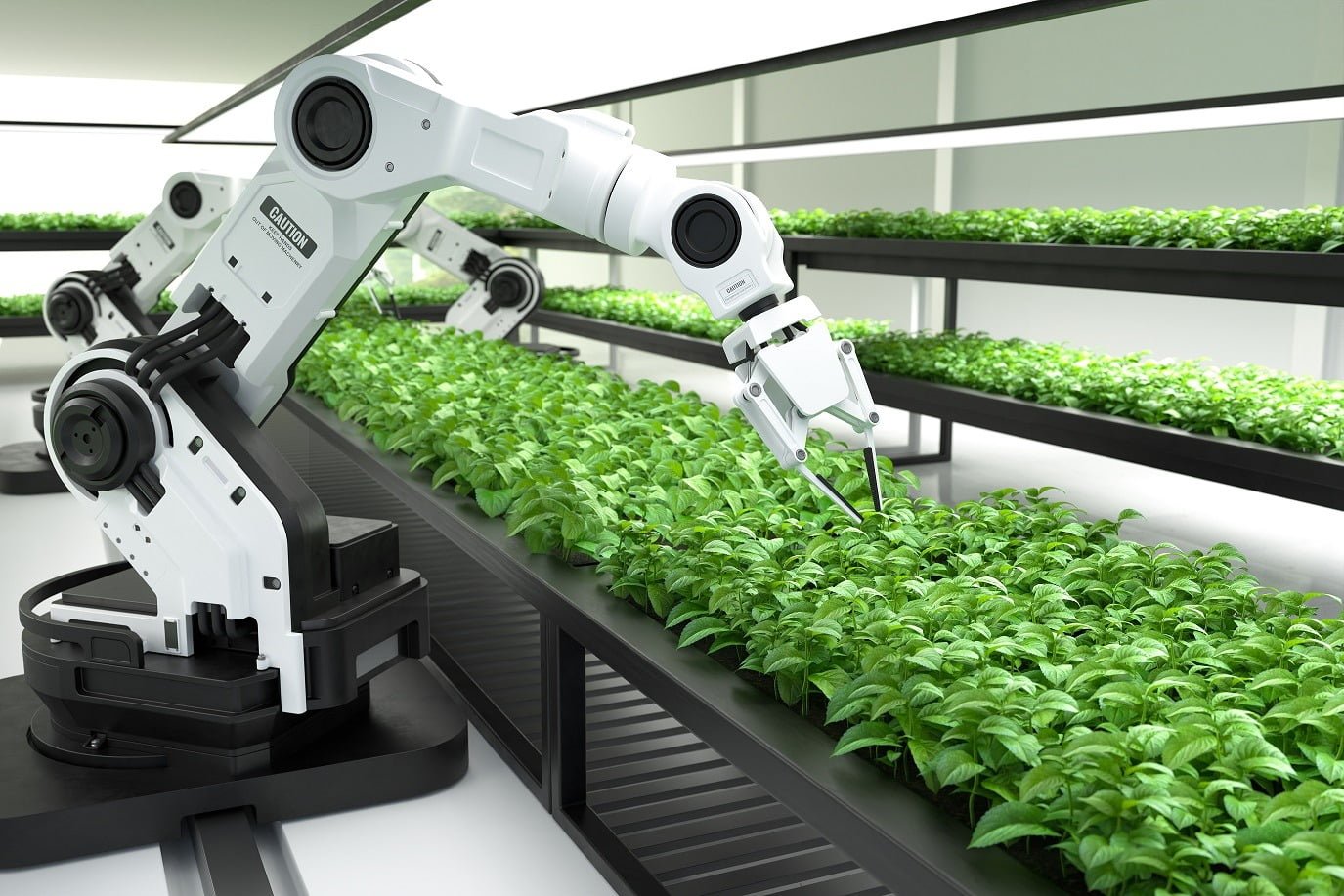 RESPIRE FUNDO: um olhar sobre o impacto da Inteligência Artificial na agricultura