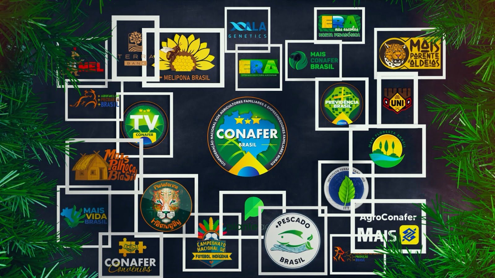 RETROSPECTIVA CONAFER 2023: a consolidação da marca agrofamiliar brasileira!