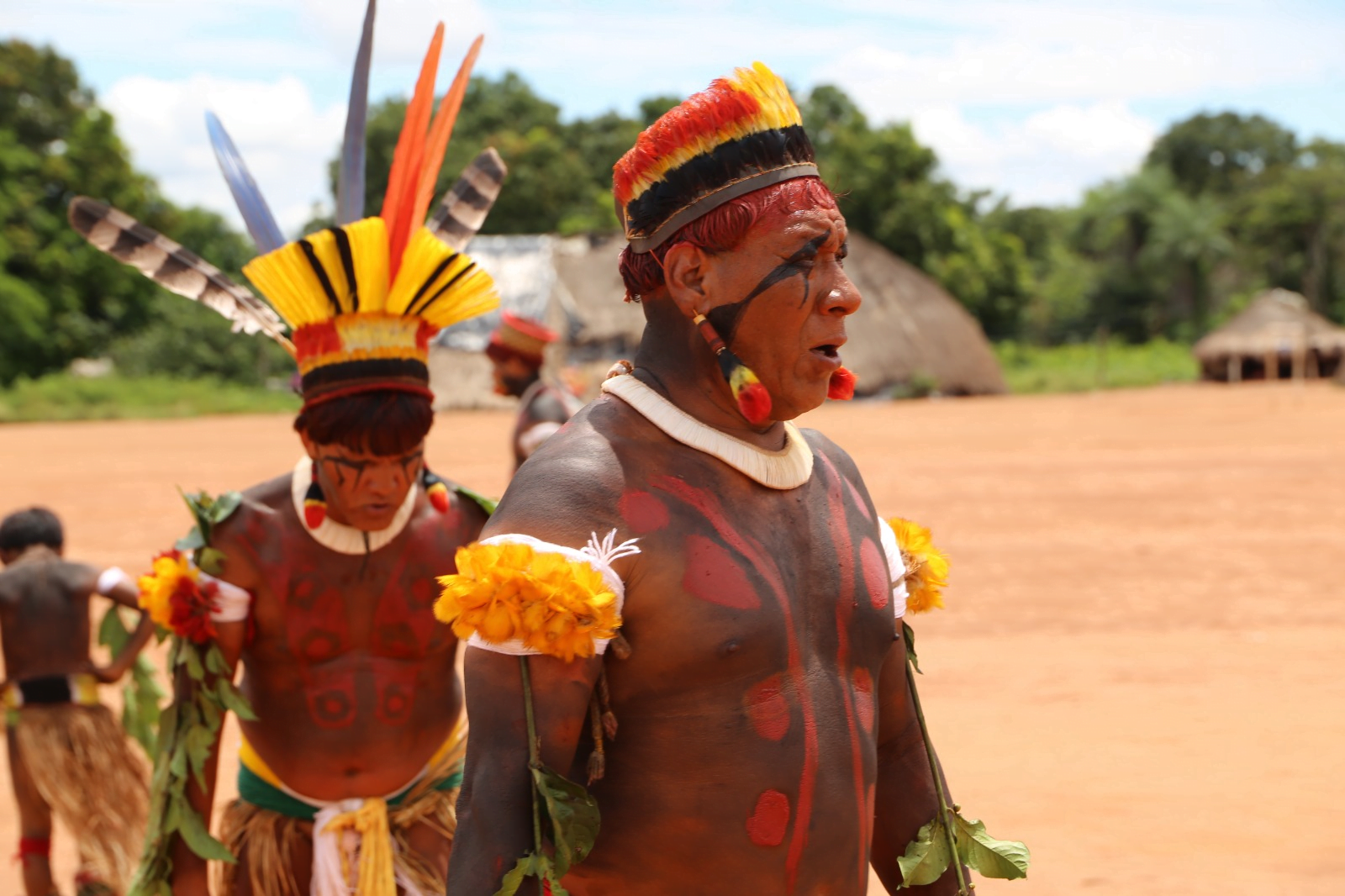 CONAFER ANCESTRAL: no Dia dos Povos Indígenas, celebramos o Brasil original