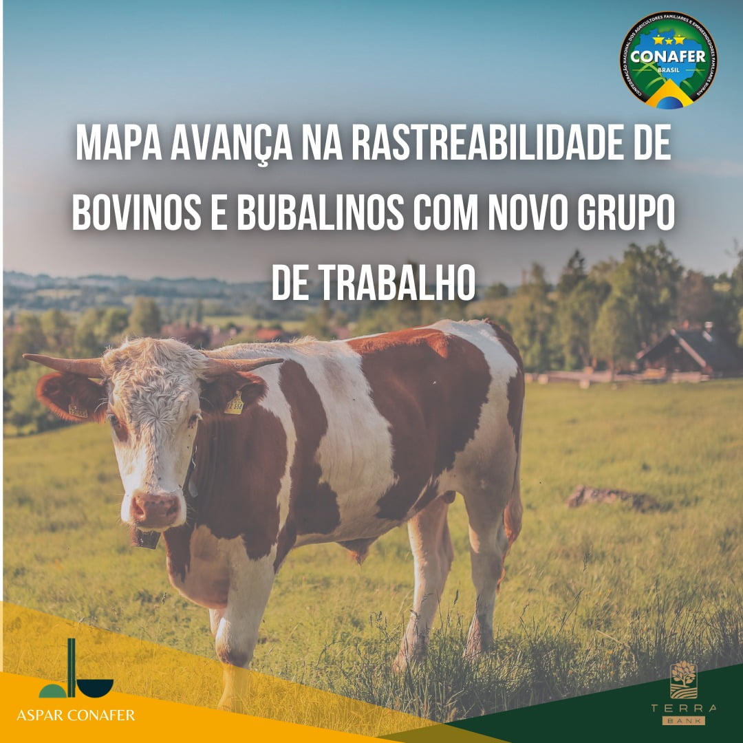 20/05/2023 – MAPA avança na rastreabilidade de bovinos com novo grupo de trabalho