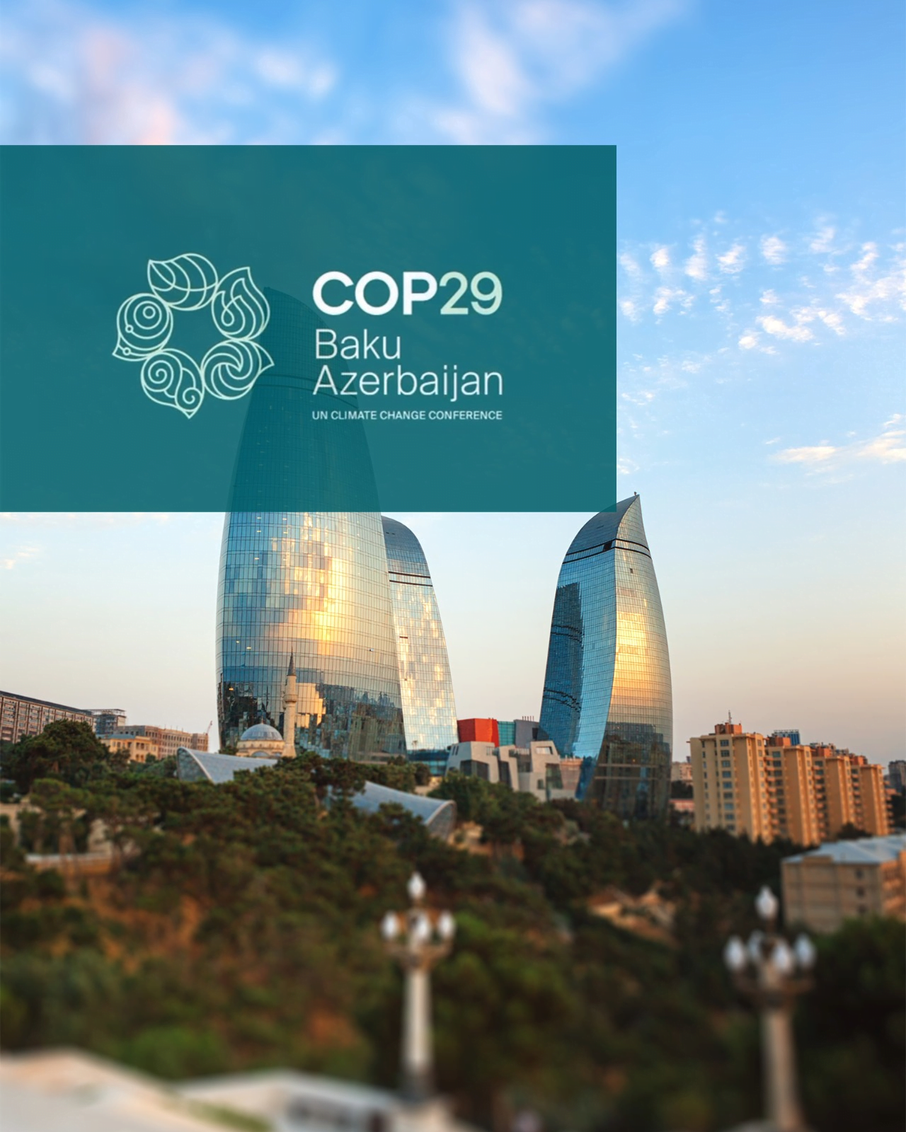 CONAFER GLOBAL: participação na COP29, no Azerbaijão, consolida entidade no tema ambiental