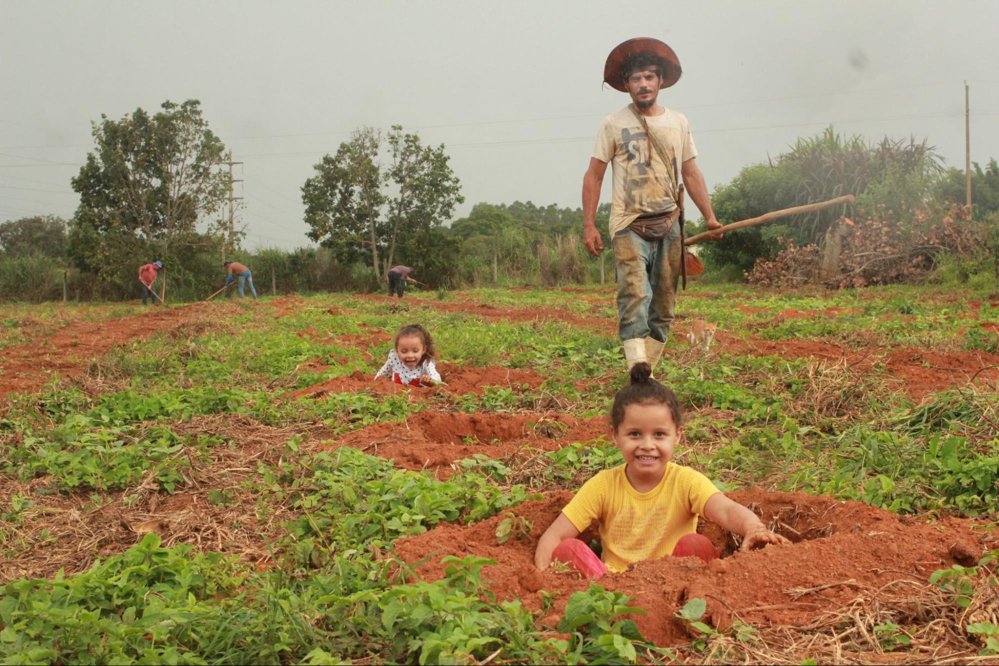 RECONECTE-SE: o valor da Assistência Técnica e Extensão Rural, a ATER