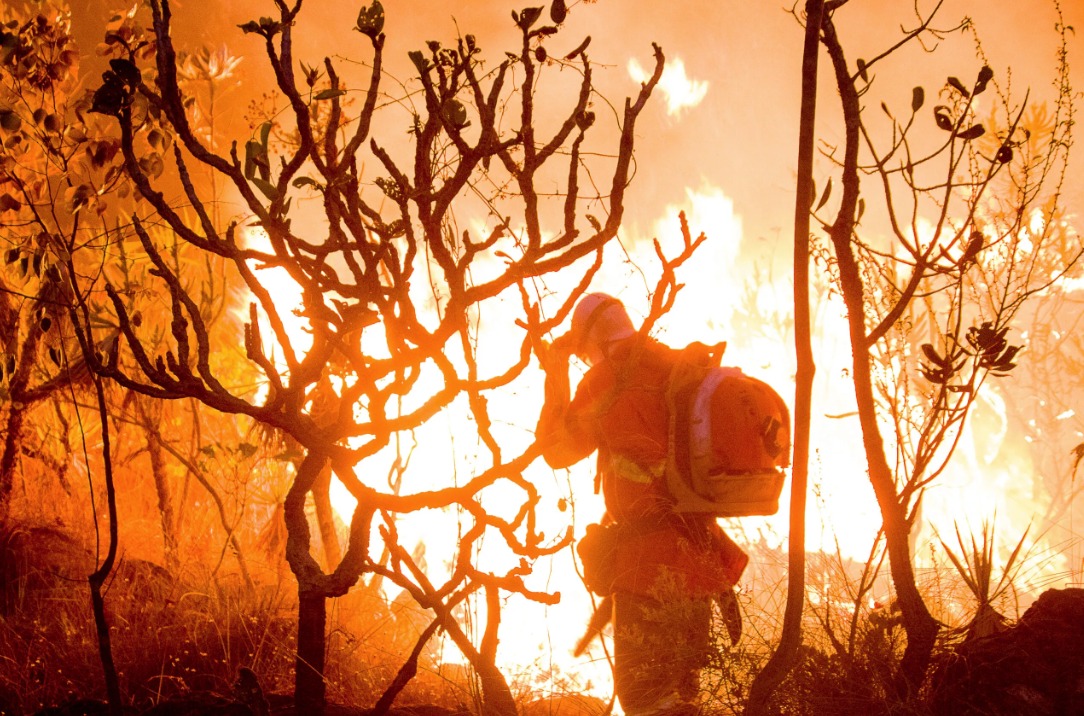 RECONECTE-SE: neste Dia do Cerrado, um chamado urgente à consciência; data serve de alerta