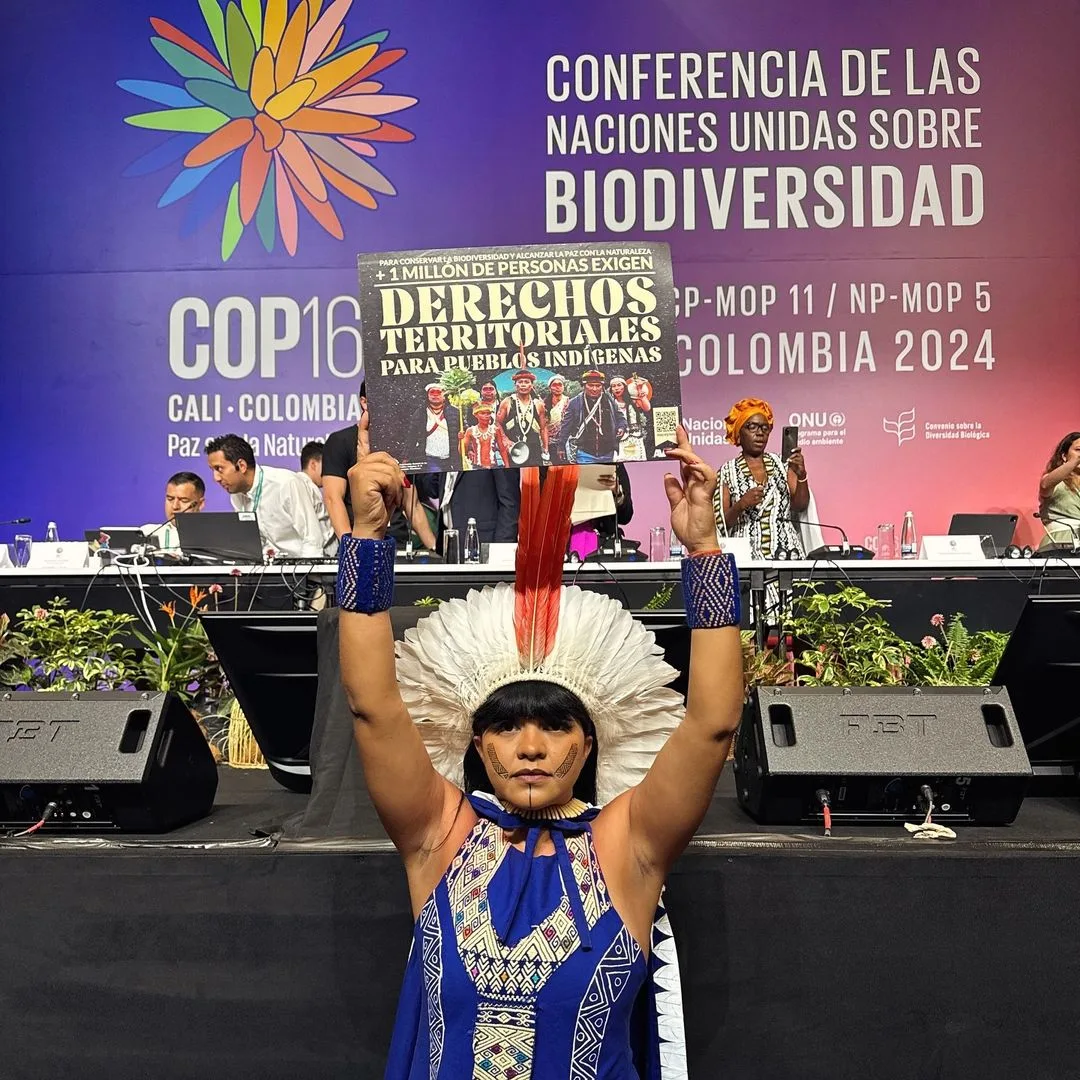 COP16 NA COLÔMBIA: Declaração de Cali reafirma compromisso com a biodiversidade e Amazônia